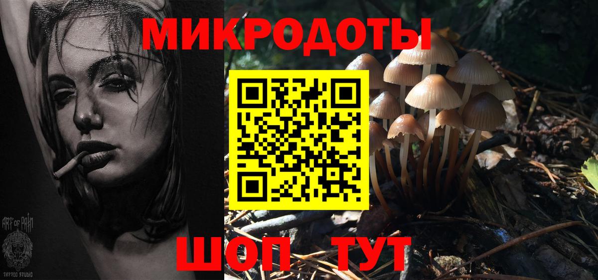 Псилоцибиновые грибы Psilocybine cubensis  Вход с VPN  Кулебаки 